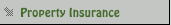 Property Insurance