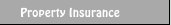 Property Insurance